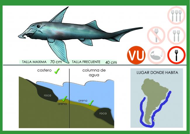 Anzuelos de pesca - Anatomía del Anzuelo - Pesca en Argentina - Todo sobre  Pesca Deportiva